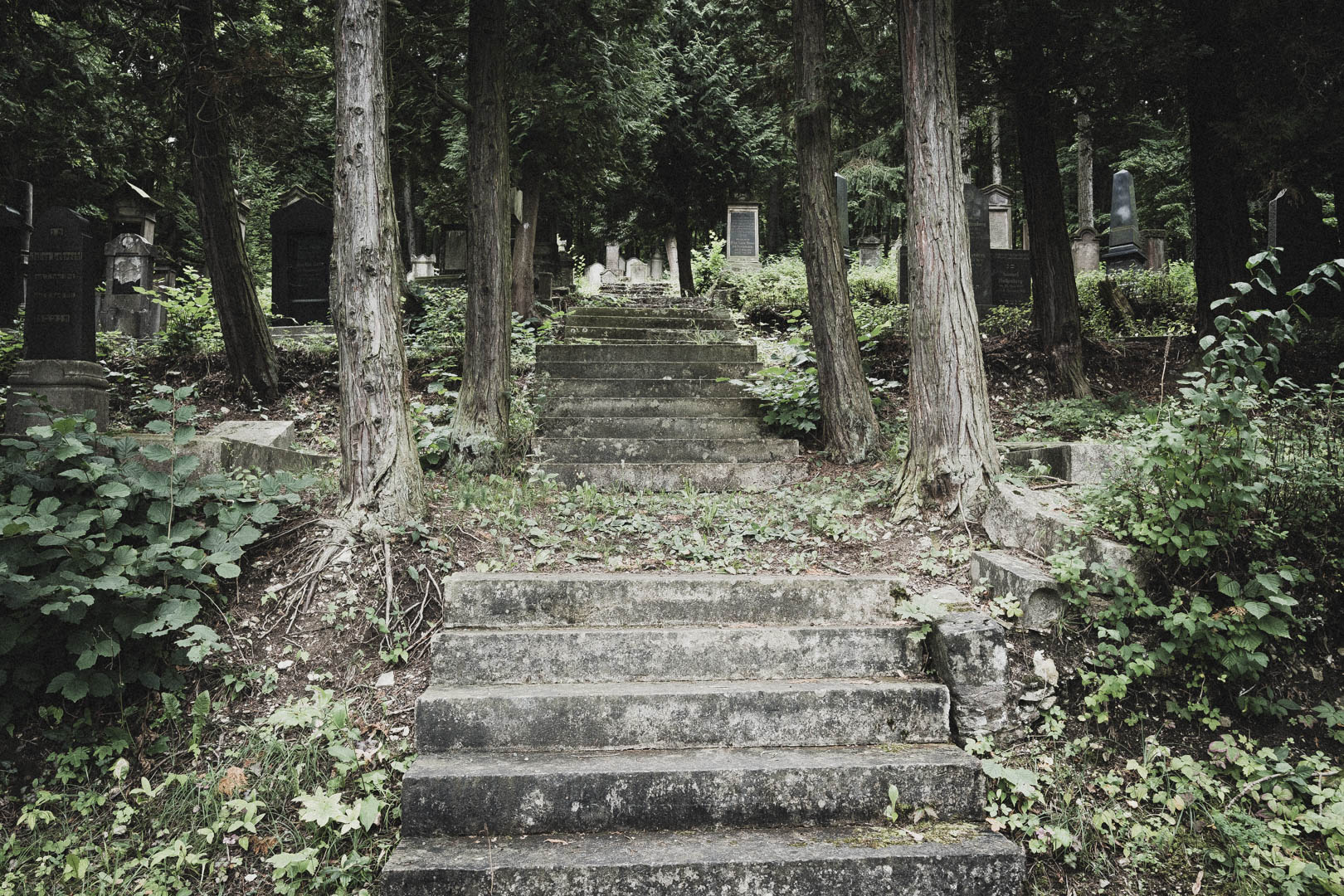 Bleicherode, Jüdischer Friedhof